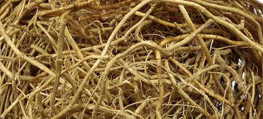 DISCOVER THE HIDDEN BENEFITS OF VETIVER ROOTS